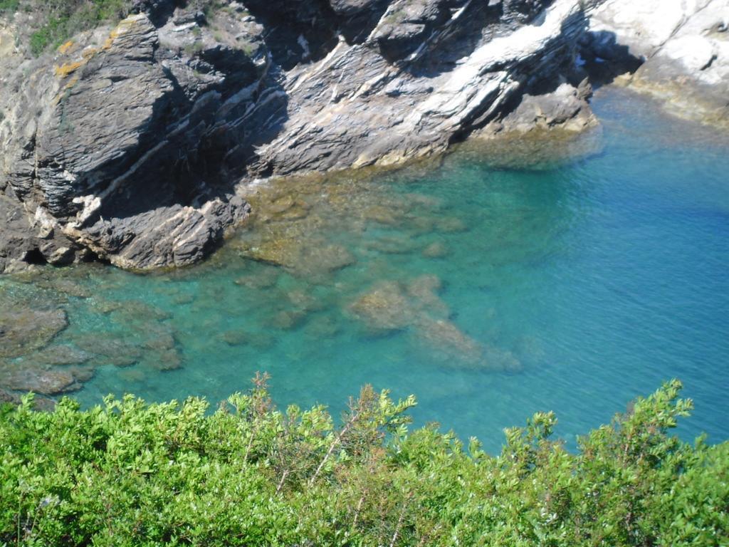 克劳迪娅公寓 里约滨海 客房 照片